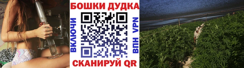 Как найти наркотики Щёлково APVP  MDMA  Амфетамин  COCAIN  Канабис 