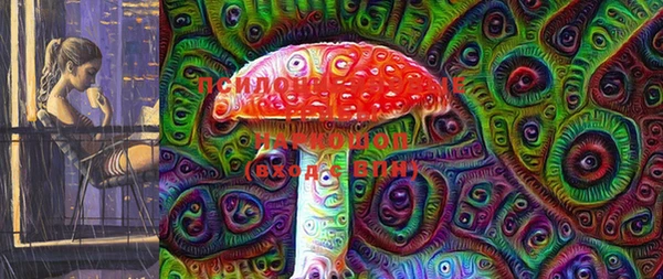 СК Лиски